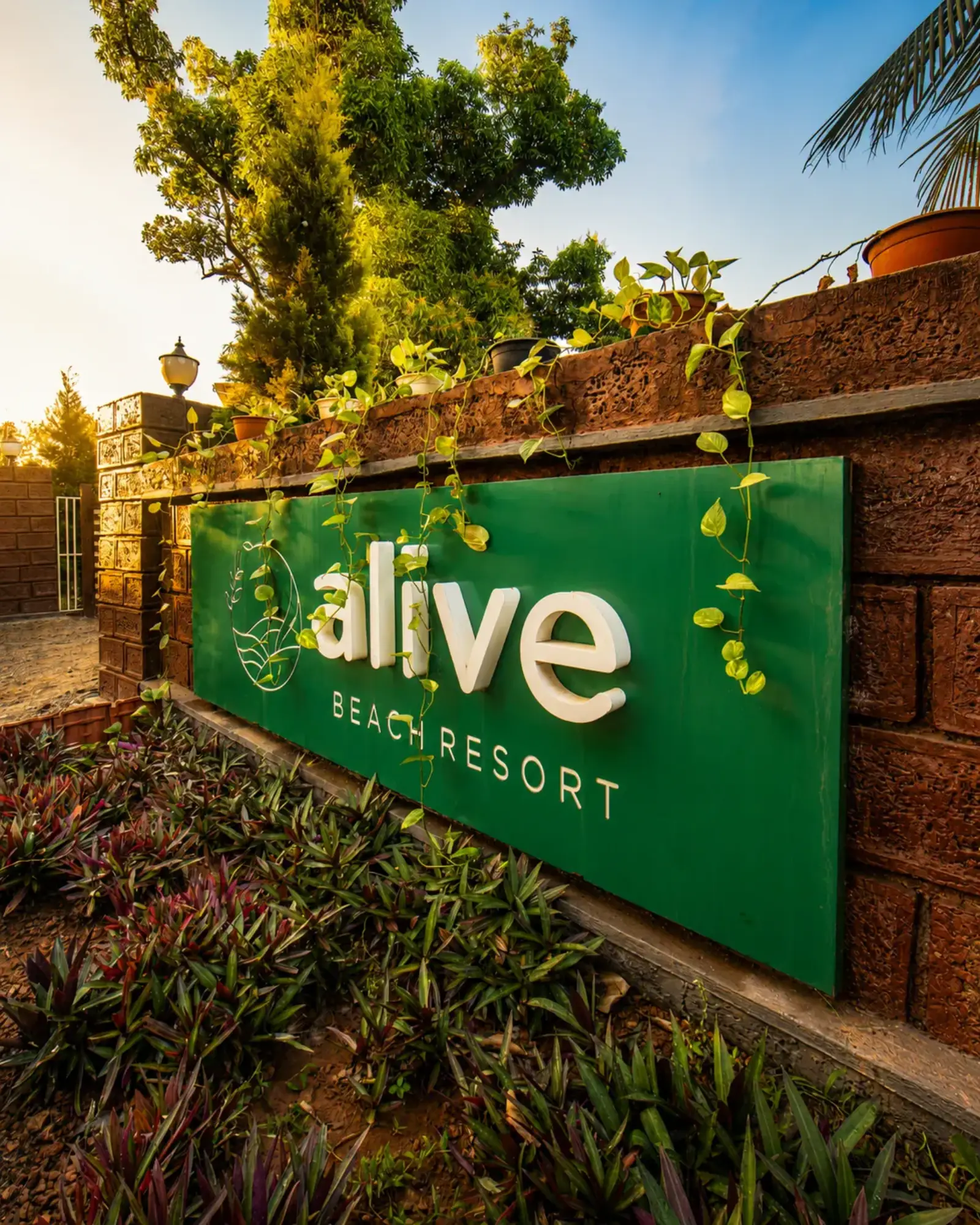 Alive Beach Resort — Konkan coastline