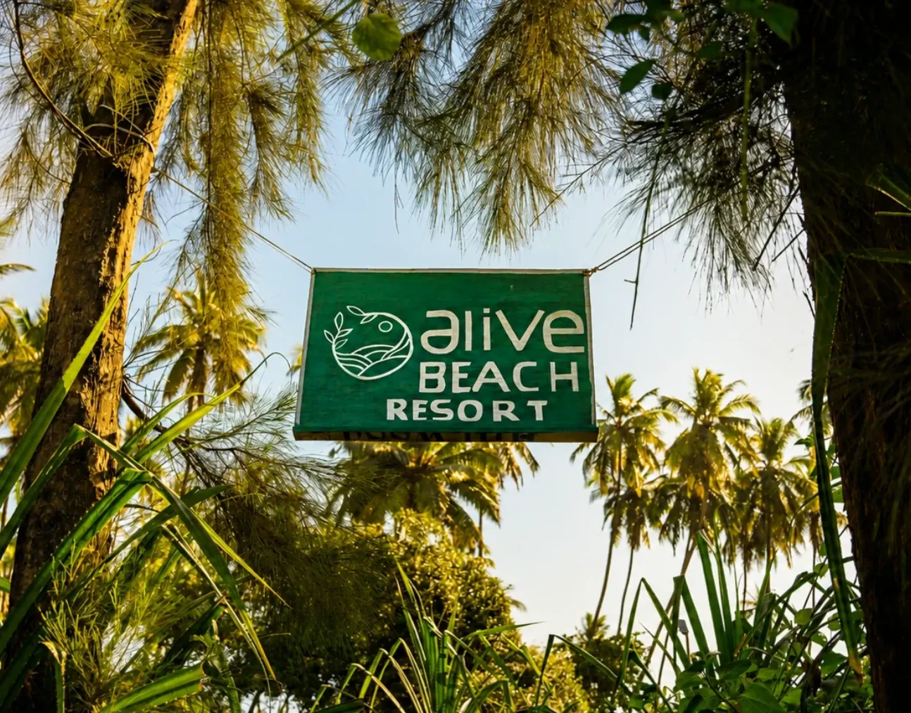 Alive Beach Resort grounds and coastal stay in Harihareshwar