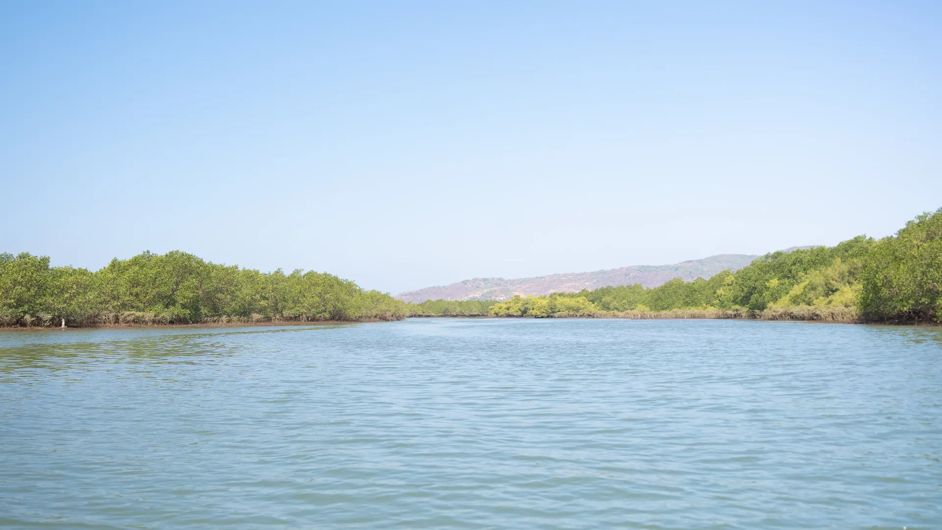 Bagmandla creek and pristine estuary backwaters on the Konkan coast
